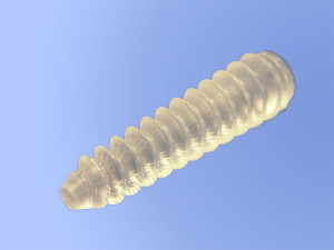 PLDLLA resorbable screw from Proxy Biomedical