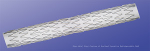 Proxy Biomedical ptfe stent